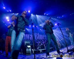 Harmonijkowy Atak - Rawa Blues 2012 (7)